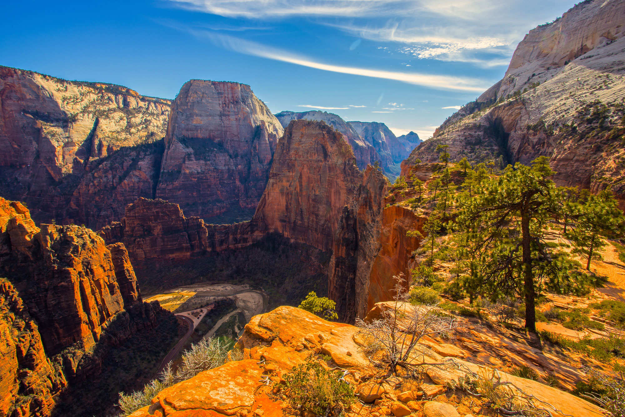 View of Zion National Park from the top of on of the overlook points.